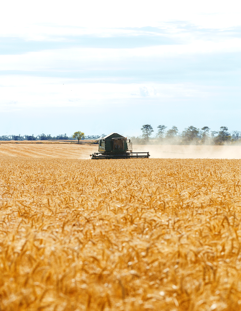 Commodities Agricolas
