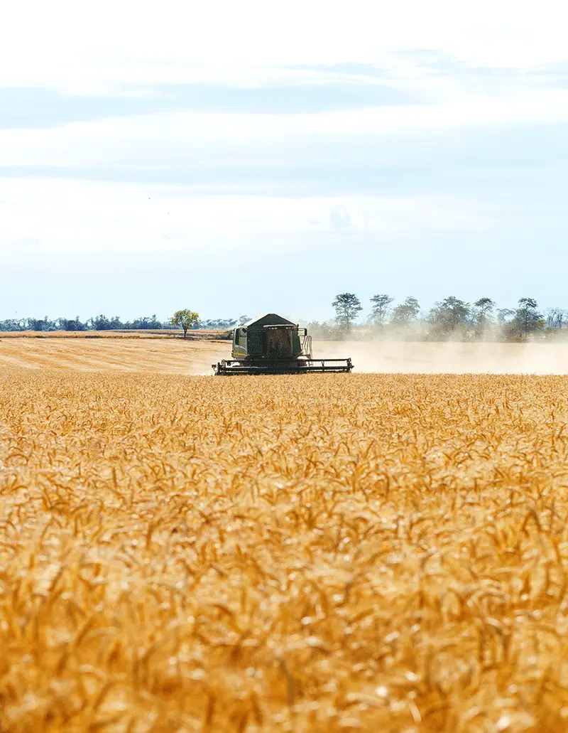 Commodities Agricolas